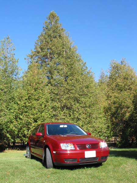 2004.jetta.tdi-0004