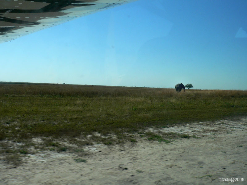 20060628-l-elephant.runway-s005b
