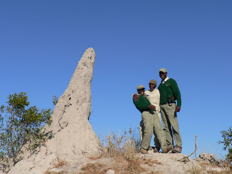 20060624-p-guides.termite.mound-s026b